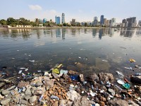 Suspendisse arcu nisl