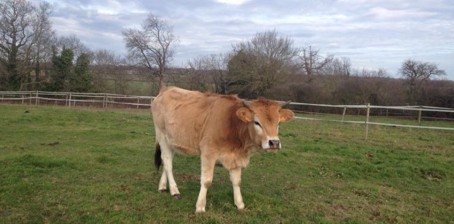 Avec Nejma, Tehop soutient l’éducation à l’environnement