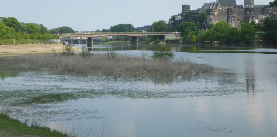 Une étude d’économie circulaire à Angers !