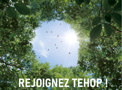 Chef de projet/Consultant Economie circulaire, déchets et concertation